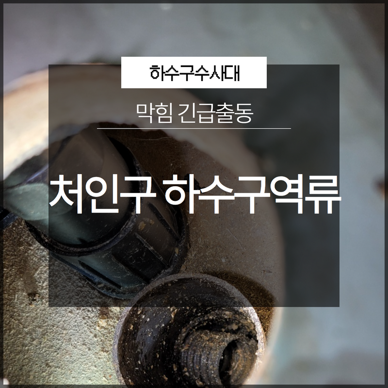 세교동 상가 화장실 바닥 역류 은계동 하수구 배관 고압세척 전문 업체 원인 분석